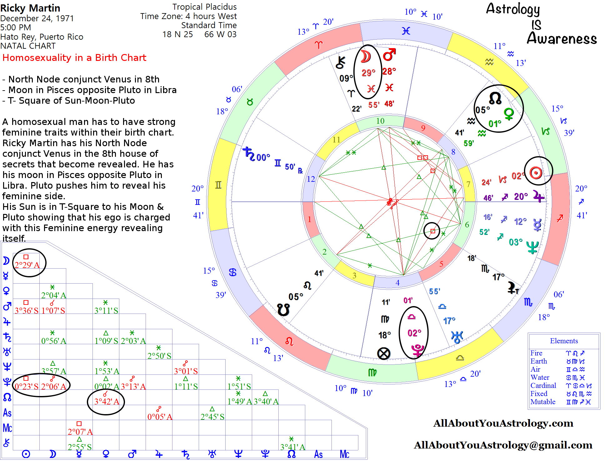 Homosexuality In A Birth Chart Ricky Martin Horoscopes. steve martin natal chart...